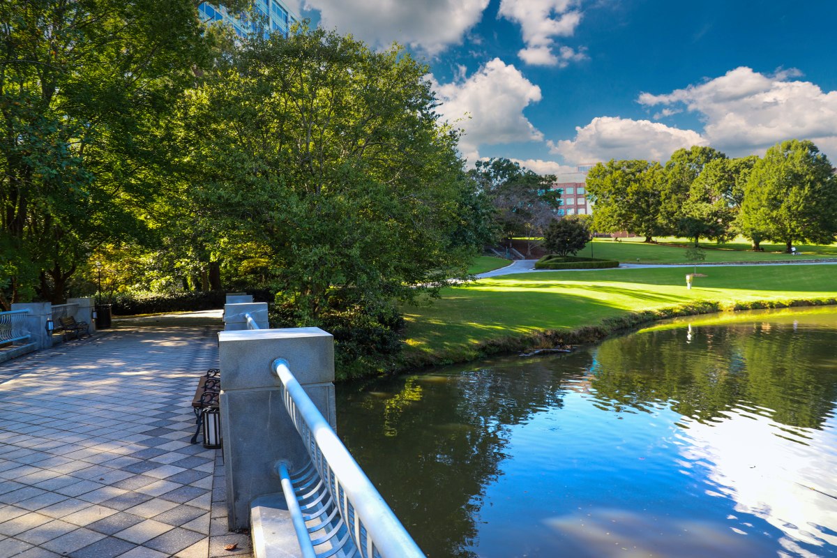 sunny day view of park lake