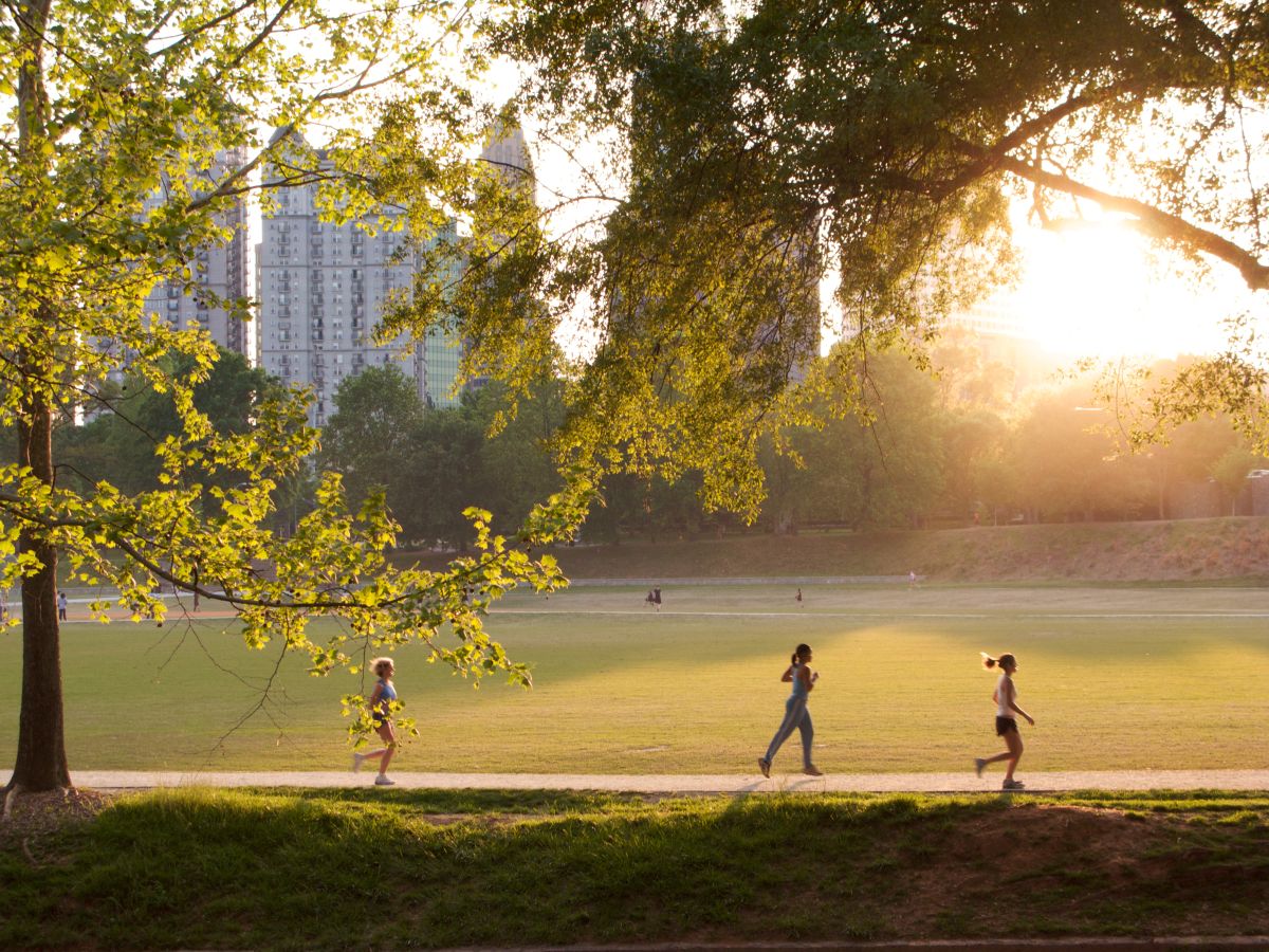 sunny day in park