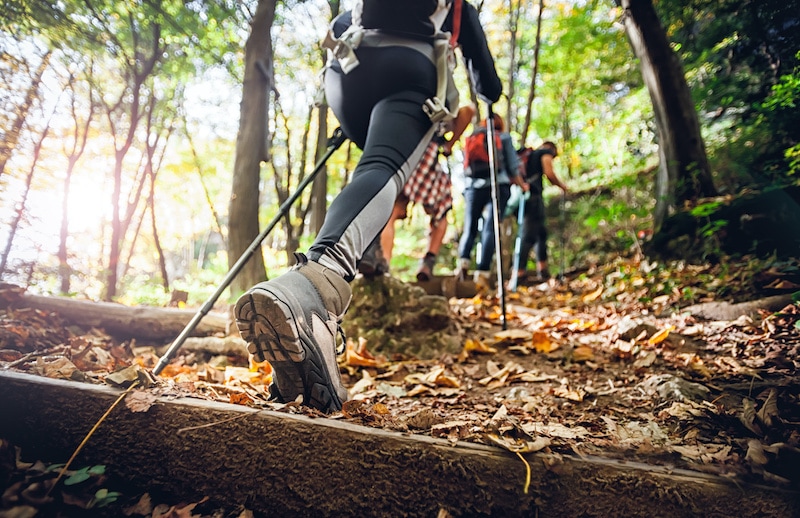 Hikers walking along a wooded trail in Fairfax Station