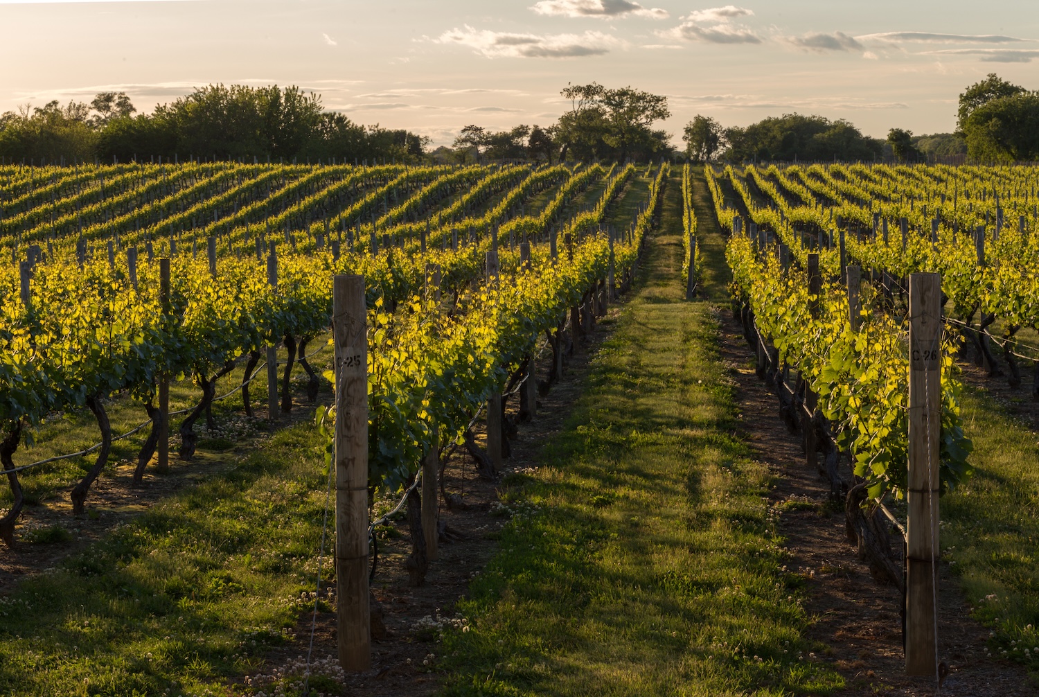 winery