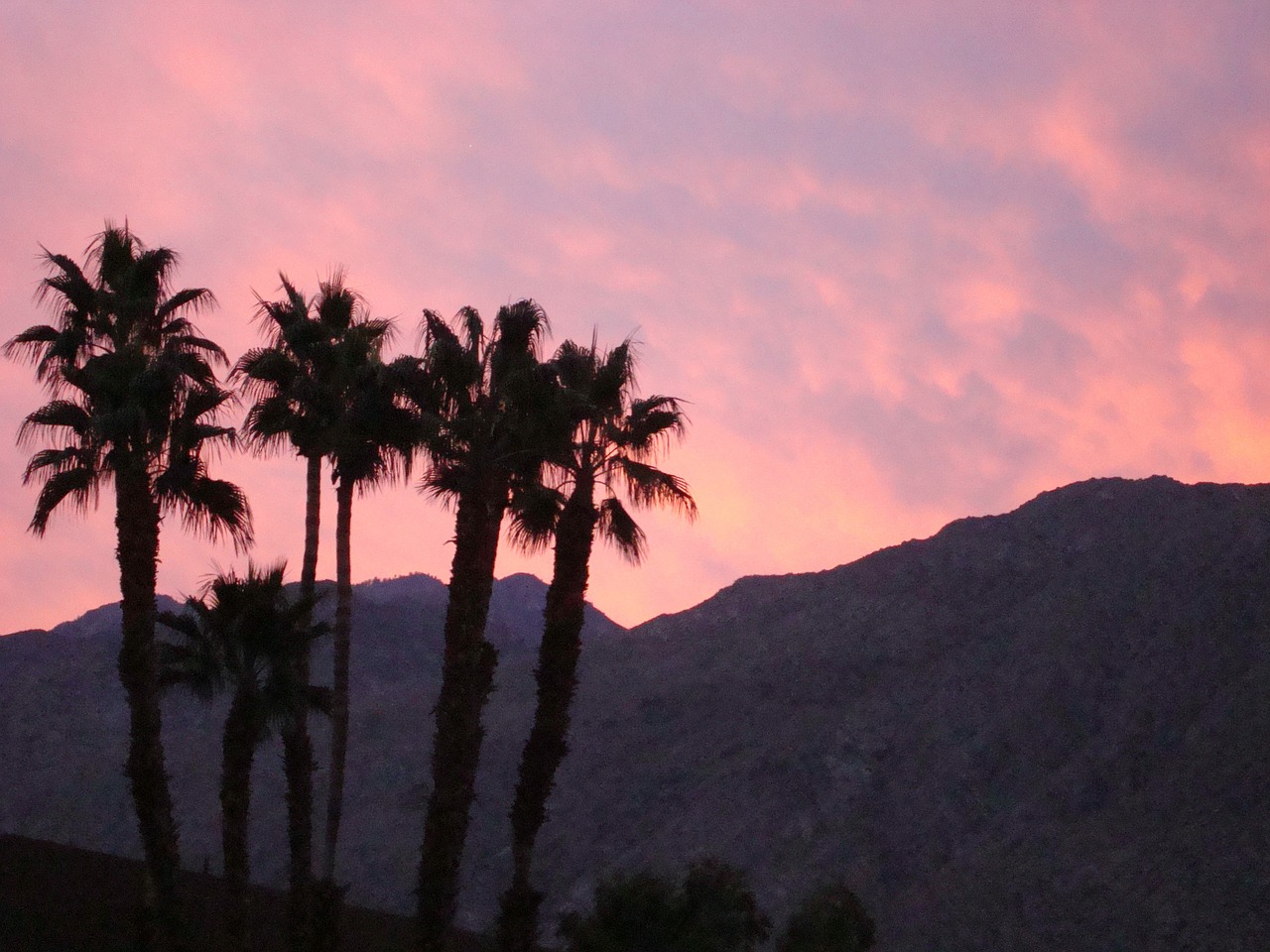 indian wells tennis garden